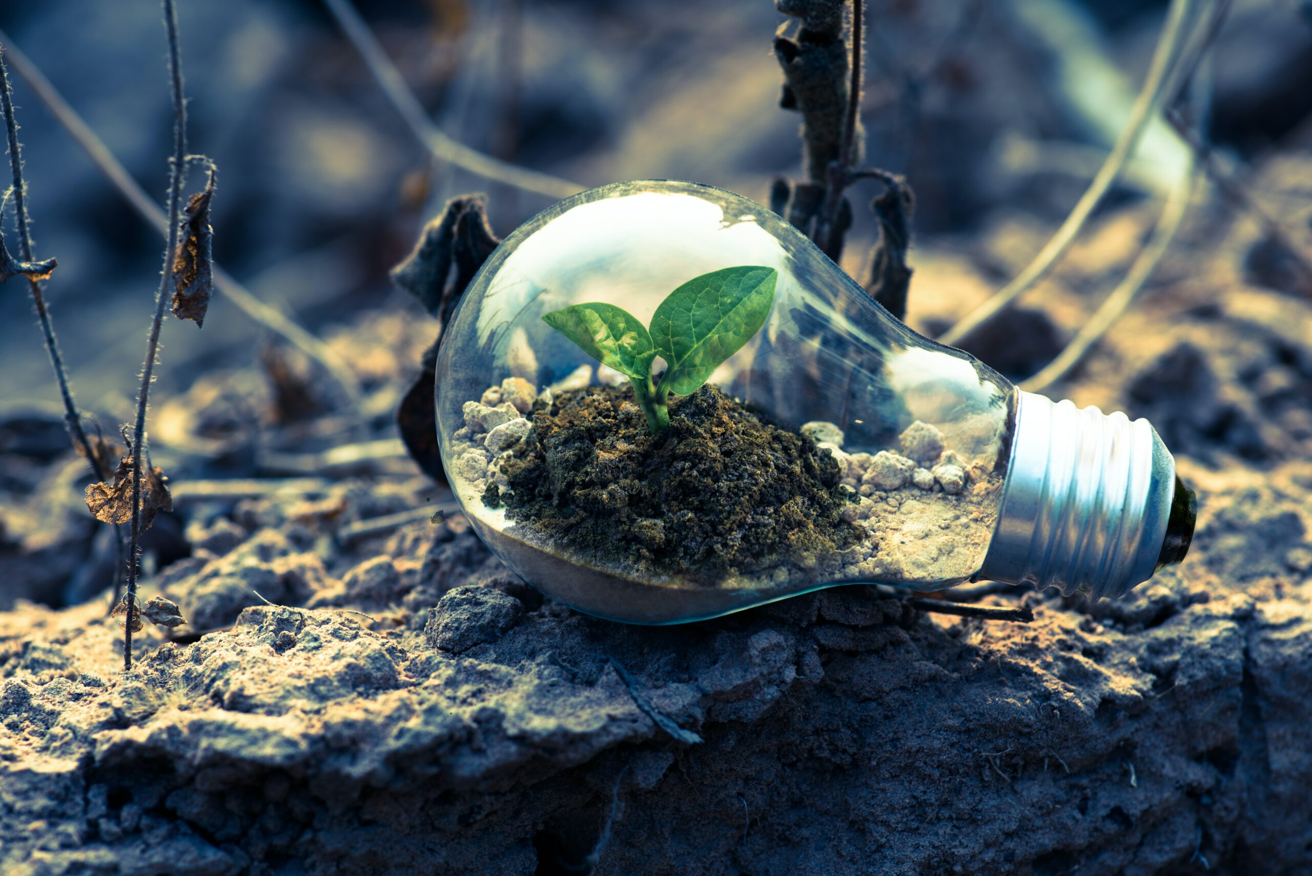 Sustainable digital – a contradiction in terms? (Part 1)